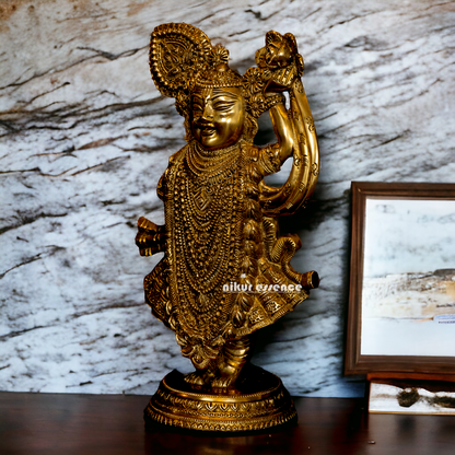 Lord Shrinath ji Brass statue - 11 inches