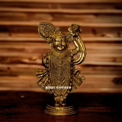 Lord Shrinath ji Brass statue - 11 inches